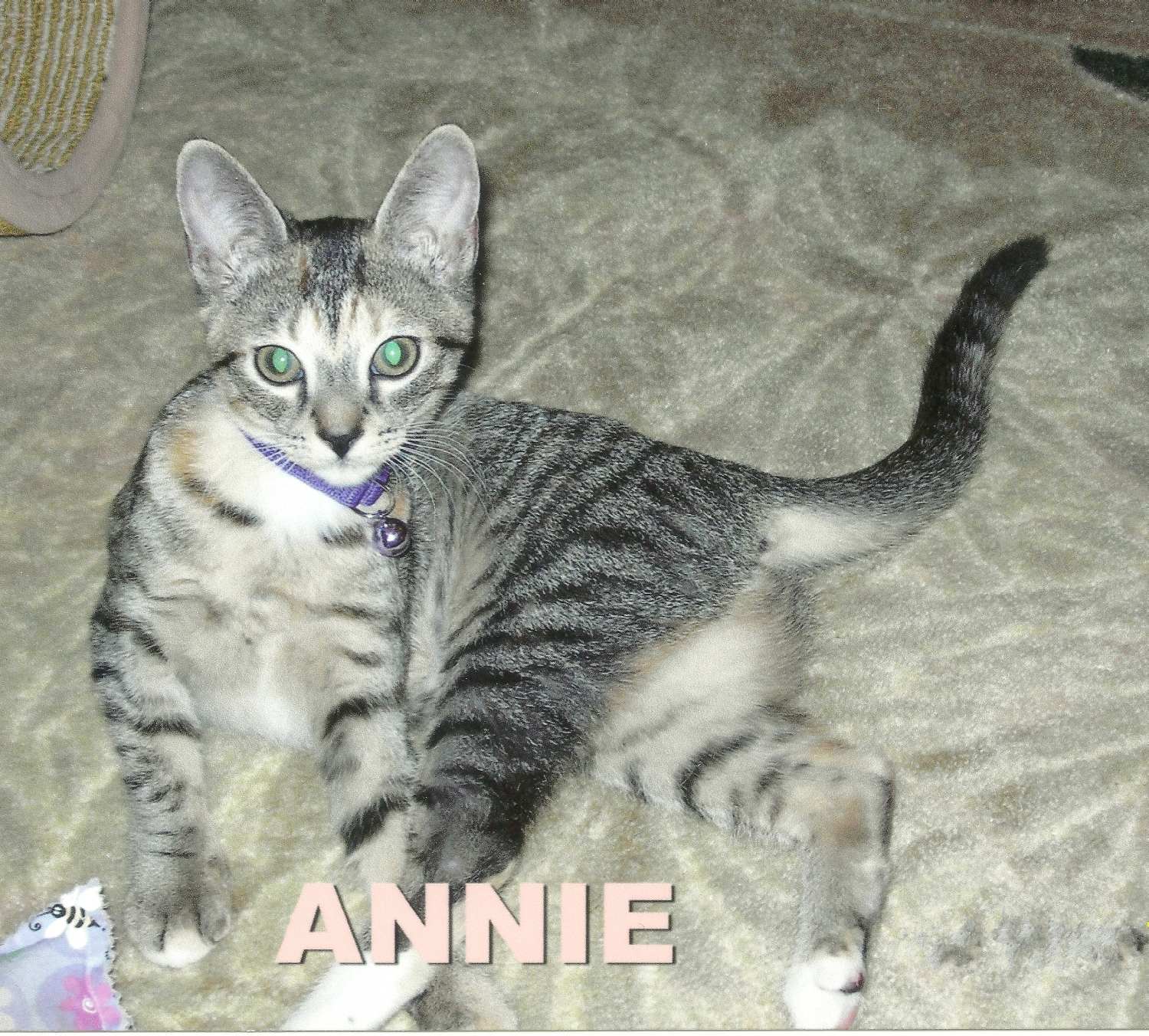 Annie Annie
