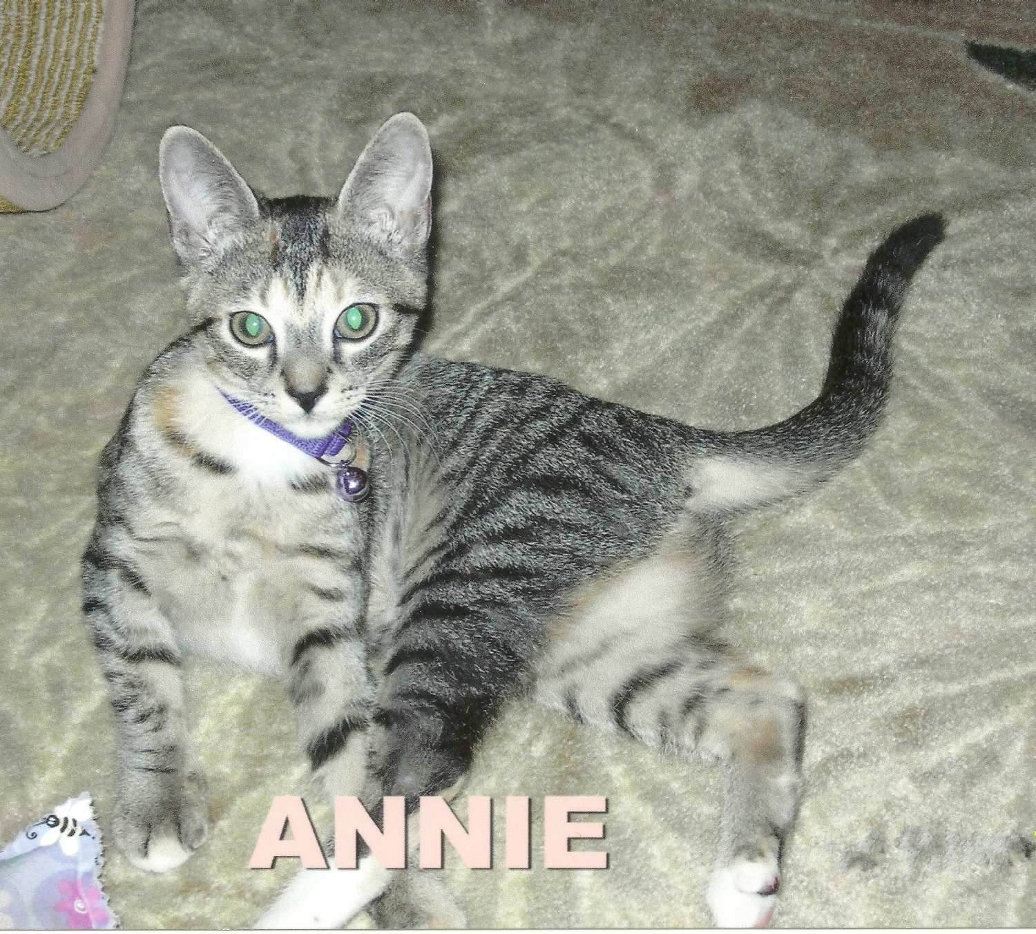 Annie